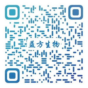 麻将胡了2(中国)官方网站-IOS/安卓通用版/手机APP下载
